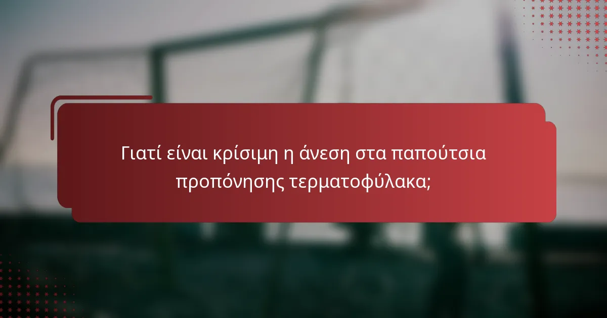 Γιατί είναι κρίσιμη η άνεση στα παπούτσια προπόνησης τερματοφύλακα;